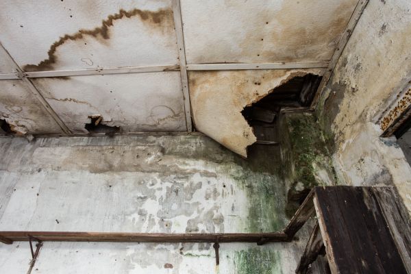 Water Damage Service in Saint Cloud