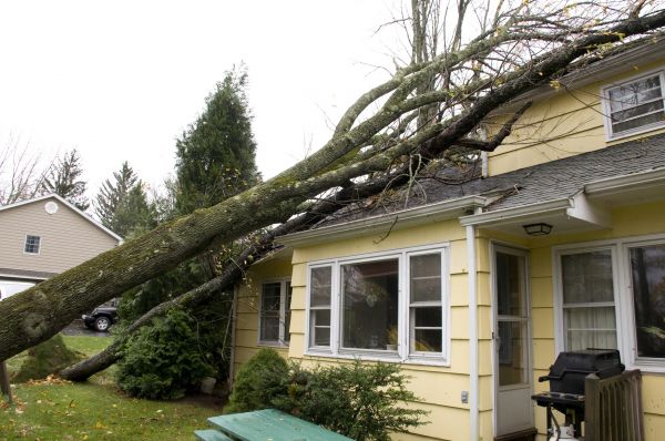Hurricane Damage Repair in Saint Cloud