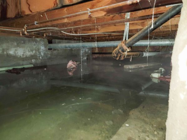 Crawlspace Water Restoration in Saint Cloud