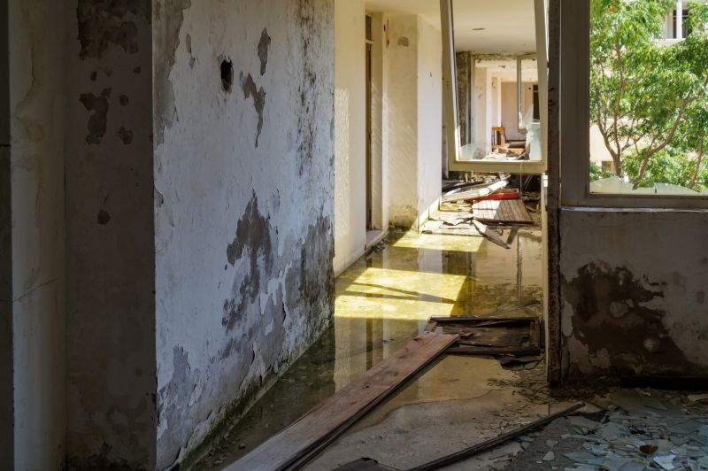Water Removal Service detail